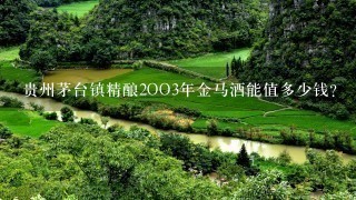 贵州茅台镇精酿2OO3年金马酒能值多少钱？