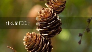 什么是PDD？